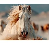 Diamond Painting Horse Large Diamond Art Kits Adults 60x45cm, White Crystal Art Kits for Adults Beginners, 5D Full Drill Dimond Crystal Crafts, Dimond Painting for Home Wall Room Decor Gift, Model 607
