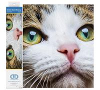 Diamond Painting Kit, Intermediate, DD6, Green Eyed Beauty
