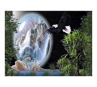 Diamond Painting Kit,Swan Lake DIY 5D Full Drill Diamond Art Kits for Adults Kids, Crystal Rhinestone Diamond Embroidery Paintings Cross Stitch for Home Wall Decor Square Drill 55x75cm(22x30inch)