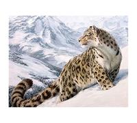 Diamond Painting Kits, 5D DIY Diamond Art Crystal Rhinestone Embroidery Cross Stitch Handicrafts Mosaic Diamond Painting Art for Home/Office Wall Decor Snow Leopard Square Drill,80x100cm(32x40in)