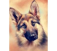 Diamond Painting Kits for Adults,5D DIY Diamond Painting Art with Full Round Drill Great Decor for Home German Shepherd 11.8x15.7in Pack