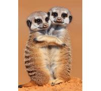 Diamond Painting Kits for Adults, Diamond Art Kits 5D Diamond Painting Kits for Beginner, Full Gem Embroidery Cross Stitch Arts Crafts for Livingroom Home Wall Decor Gift Cute Meerkats 30x40cm/12x16in