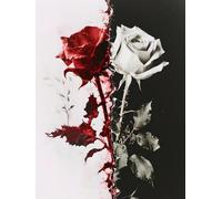 Diamond Painting Kits for Adults, Diamond Painting Rose Black And White Diamond Art Kits Kids, Round Diamond Dots Crystal Gem Art Embroidery Paintings Kits for Home Wall Room Decor, 12x16 inch A-1940