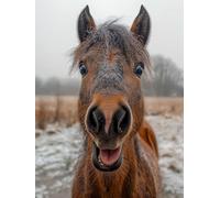 Diamond Painting Kits for Adults Horse Dimond Art 90x120cm 3-8P0DS