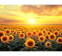 Diamond Painting Kits for Adults Sunset, Small Diamond Art Kits Sunflower, 5D DIY Round Full Drill Crystal Art Embroidery Cross Stitch, Mosaic Crafts Pictures Room Decor,Gifts for Women 40x30cm E0-824