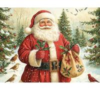 Diamond Painting Kits for Beginners Adults, 5D DIY Santa Claus Diamond Art Kits, Round Full Drill Gem Art Crafts, DIY Painting by Numbers for Christmas Home Wall Decor, Gifts for Women 12x16 inch s841