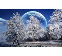 Diamond Painting Kits with Tools, Meecaa Moon Tree Landscape Night Scene DIY 5D Full Drill Cross Stitch Diamond Mosaic Art Crafts 30x40cm (Landscape 1)
