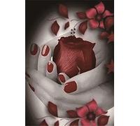 Diamond Painting Kits with Tools, Meecaa Rose Petal Hand DIY 5D Full Drill Cross Stitch Diamond Mosaic Art Crafts 30x40cm (Rose)
