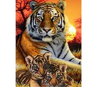 Diamond Painting Kits with Tools, Meecaa Tiger Animal Cub DIY 5D Full Drill Cross Stitch Diamond Mosaic Art Crafts 30x40cm (Tiger)