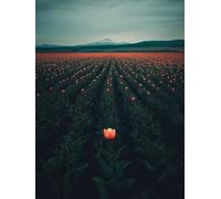 Diamond Painting Landscape Diamond Art Kits Adults, Flower Crystal Art Kit for Adults Kids DIY 5D Round Full Drill Gem Dots Rhinestone Embroidery Crafts Picture, Home Wall Decor Gifts 50x70cm r9-141