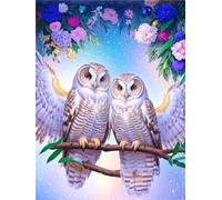 Diamond Painting Owl Diamond Art Kits Adults&Kids&Beginners 5D Dimond Art Painting, Diamond Dots Crystal Art Embroidery, DIY Gem Art Square Diamond Painting Animal, for Home Wall Decor Gifts 50x70cm