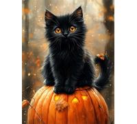 Diamond Painting Pumpkin Diamond Art Kits Adults 20x30 cm DIY 5D Full Drill Cat Dimond Art Kit for Beginners Crystal Rhinestone Embroidery Canvas Painting for Relaxation, Bedroom Decor with Tool H-145