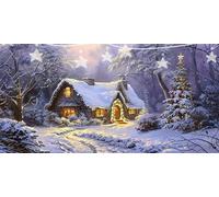 Diamond Painting Snow Dimond Art Kits Christmas Tree Diamond Art Accessories, DIY Full Drill Crystal Rhinestone Crafts for Adults Beginner for Living Wall Decoration, Gifts for Women 40x80cm G6-810