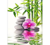 Diamond Painting Square Drill Adult 40x50 cm Diamond Painting Orchid Diamond Art Kids Diamond Painting Orchid Flowers Wall Art of Orchids Painting by Numbers Diamond Painting Landscape Water