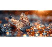 Diamond Painting Sunlight Diamond Art Kits Adults,24x48inch Large Dimond Art Butterfly Gem Arts and Crafts Paintings,DIY Full Drill Crystal Rhinestone Mosaic Kits with Accessories,Home Decor J2-2836