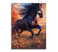 Diamond Painting Sunset Diamond Art for Kids Horse Full Drill Gem Crystal Art DIY 5D Cross Stitch Canvas Mosaic Crafts Picture 8 Year Old Gifts for Girls Beginners, Home Wall Decoration 70x90cm z451f