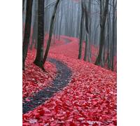 Diamond Painting The Trail, Landscape Diamond Art Kits Adults with Full Accessories, Full Drill Crystal Art Crafts Pictures Kits, Embroidery Cross Stitch Gem Paintings for Decor 20x30 cm -KF250638