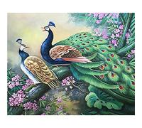 Diamond Painting,Two Peacocks 5D DIY Diamond Art Kit by Number Cross Stitch Perfect Diamond Embroidery Paintings Arts Craft, for Living Room Bedroom wall decoration Round Drill 70x90cm(28x36inch)