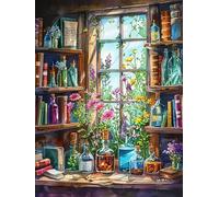Diamond Painting Window Landscape Collection Diamond Mosaic Flower Scenery Bottle Home Gift 30 * 40cm