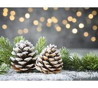 Diamond Painting Winter, Pine Cones Diamond Art Kits Adults, DIY Beginner Full Drill Gem Art Set 5D Crystal Embroidery Canvas Mosaic Kits for Adults Home Wall Decor, Gifts for Women 8x12inch, Model75