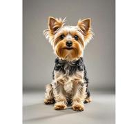 Diamond Painting Yorkshire Terrier 5D Diamond Art DIY Kits Full Round Drill Beads by Number Mosaic Embroidery Arts and Crafts for Living Room Bedroom Home Wall Decor 12x16 inch / 30x40cm