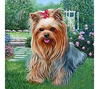 Diamond Painting Yorkshire Terrier 5D DIY Full Round Drill Picture of Rhinestones Diamond Embroidery Animal Paint with Diamonds Diamond Diamond