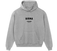 Diana Men's Hoodie - Gray / 3XL