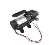 Diaphragm Pump, 10L/min 120W Electric High Pressure Self Priming Small Dc Water Pump Diaphragm Pump 12v 24v(Pressure Switch Type,DC24)