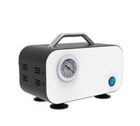 Diaphragm Pump, Oil-Free Diaphragm Vacuum Pump NB10L Portable Laboratory Small Negative Pressure Electric Suction(NB30L)