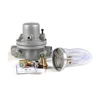 Diaphragm Pumps Air-Operated Single Way Diaphragm Pump 15L/min Pneumatic Diaphragm Pump for Ink Pumping Ink Printing Machine Industrial Use