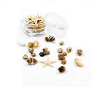 Diarypiece Mini Tiny Sea Shells Mixed Ocean Beach Seashells Natural Starfish for Home Beach Theme Party Wedding Decor Vase Filler
