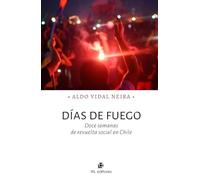 Días de fuego: Doce semanas de revuelta social en Chile