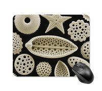 Diatom Microscopy Square Mouse Pads Non-Slip Rubber Base Mouse Mat Cute Mousepad Funny Computer Desk Accessories for Office Home Gaming Work 20 * 25cm