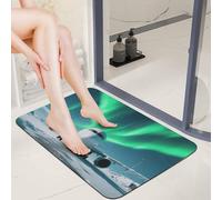 Diatom Mud Door Mat 16x24 0.15" Thin Airplane Under The Polar Night Sky Bath Mats for Bathroom with Non-Slip TPR Backing Ultra Absorbent Low Profile Entryway Rug for Indoor Outdoor Entrance Shower B
