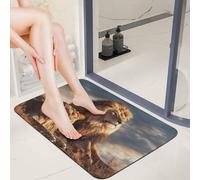 Diatom Mud Two Lions Bath Mat 16x24 Absorbent Quick Dry Indoor Welcome Mat Non Slip Rubber Backing Carpet 0.15" Low Profile Entryway Door Mats for Bathroom Entryway Sink Laundry Room