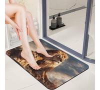 Diatom Mud Two Lions Bath Mat 20X32 Absorbent Quick Dry Indoor Welcome Mat Non Slip Rubber Backing Carpet 0.15" Low Profile Entryway Door Mats for Bathroom Entryway Sink Laundry Room