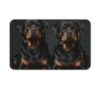 Diatomaceous Earth Bath Mat - Super Absorbent Quick Dry Door Mats Non-Slip Bathroom Rug Rottweiler Wallpaper Floor Mat for Bath, Shower, Sink, Kitchen, Easy to Clean 50x80cm