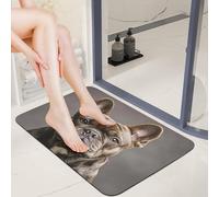 Diatomaceous Earth French Bulldog Bath Mat Non Slip Quick Dry Welcome Front Door Mats 16X24 Dirt Trapper Mud Mats for Dog Paws 0.15" Thin Floor Mat for Bathroom Entryway Shower Sink