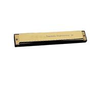 Diatonic Harmonica 24 Hole Harmonica Metal Mouth Organ Musical Instrument Beginner Teaching Playing Gift Copper Core Harmonium Blues Clues(Gold)