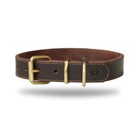 DIAVOLI - Luna Dog Leather Collar - Brown with Brass Fittings - Robust - Size M