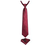 DiBanGu 2pcs Boys Pre-Tied Burgundy Red Neckties & Pocket Square Set Neck Strap Tie for Kids
