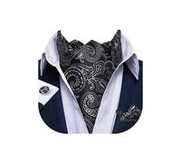 DiBanGu Black Paisley Cravat Tie for Men Silk Woven Ascot Cravats and Handkerchief Set Wedding Party
