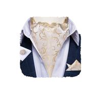 DiBanGu Champagne Ascot Ties for Men Cravat Tie Silk Beige Ascots and Pocket Square Set Jacquard Cravat for Men Wedding Party Prom