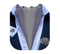 DiBanGu Luxury Silver Cravat for Men, Novelty Dots Ascot Necktie with Pocket Square Cufflinks Wedding Business