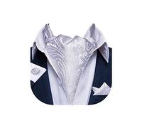 DiBanGu Men's Paisley Cravat Tie Set Light Purple Silk Woven Ascot and Handkerchief Cufflinks Set
