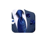 DiBanGu Men's Paisley Royal Blue Silk Tie and Pocket Square Formal Lapel Pin Brooch Set with Cufflinks Wedding Prom