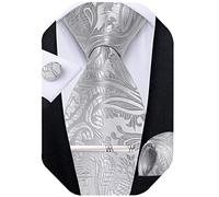 DiBanGu Men's Silk Tie Silver Paisley Necktie and Woven Pocket Square Tie Clip Cufflinks Formal Wedding Party
