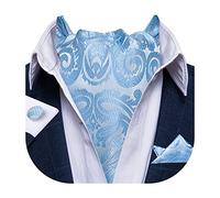 DiBanGu Men's Sky Blue Cravat Ties Silk Paisley Ascot Cravat and Handkerchief Cufflinks Set for Party Wedding