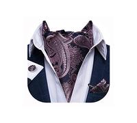 DiBanGu Paisley Cravat Ascot Tie for Men Woven Jacquard Pink Ascot and Pocket Square Cufflinks Set Wedding
