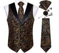 DiBanGu Paisley Waistcoats for Men Formal Suit Vest | Shawl Collar,Mens Vest Tie Set,Silk,Jacquard Woven,2 Real Pockets,Regular Fit,Adjustable Back Strap,Casual,Wedding,Prom